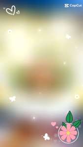 ของขวัญ กุหลาบดอกไม้ ให้คนที่รัก ดอกกุหลาบเงินสด  สินค้าตามภาพ