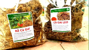 Cà gai leo khô hàng chuẩn loại 1 500g