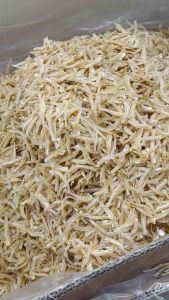 【Ready Stock】Ikan Bilis Kopek CX-500g/1kg