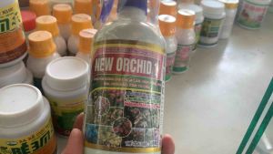 Phân Bón Vi Lượng Kích Thích Ra Hoa-Tạo Mầm Hoa- Tươi Lâu Chai Pha Sẵn 500ml