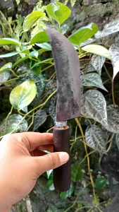 Pisau Dapur Full Baja Per Asli Empu Wonosobo
