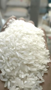 Beras premium pulen & mekar 5 kg