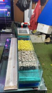 KHAY TÁCH PHÂN CÁ kích thước 18*15*3.5( DRC)