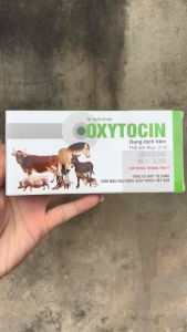 Oxytocin 10UI 2ml Dung Dịch Thú Y Hỗ Trợ Chăm Sóc Sau Sinh Hỗ Trợ Co Bóp Sinh Lý Hỗ Trợ Tiết Sữa Cho Trâu Bò Heo Dê Chó Mèo Hộp 20 Ống
