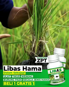 Pupuk Libas Pembasmi hama sangat TERAMPUH dan ramah lingkungan BELI 1 FREE 1 BOTOL