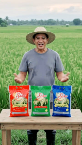 Saka White Rice Premium Quality 5kg Bags - Sinandomeng Well Milled Dinorado - Perfect for Every Filipino Table - Fresh Tasty Clean Milled - Support Local Filipino Farmers