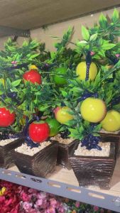 Bunga/Bonsai Buah Kayu: Tumbuhan Hias untuk Ruangan