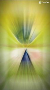 NSX T8/2025 Combo 2 Túi 5kg Gạo St25 Lúa Tôm Ông Cua – Hàng Chính Hãng