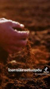 ฮิวมิค 30% สารปรับปรุงดิน บำรุงสารอาหารในดิน ดินอุดมสมบูรณ์ ขนาด1ลิตร ยกลัง 12 ขวด