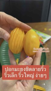 A0023/มีดปอกผลไม้ลายริ้ว 2 หัว แบบ 2in1 ริ้วเล็ก และริ้วใหญ่ (สุ่มสีค่ะ) มีดปอกมะยงชิด มีดปอกมะปราง มีดปอกผลไม้ มีดสองคม