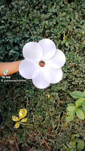 Cup Kelopak Bunga Lampu Dekorasi Cantik Murah