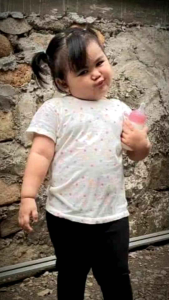 SUSU GEMOY: SUSU PENGGEMUK BADAN YANG KAYA NUTRISI