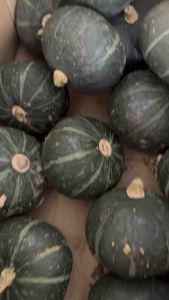 Japanese Pumpkin Kabocha 3 PCS