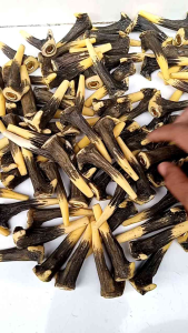 Pipa pirok rasa tanduk rusa mini