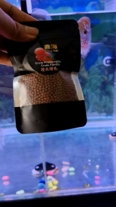 NEW 2 pack 1 set  60G+60G TOTAL 120G DH BRAND FLOWER HORN FISH PALLET FOOD...can up big kok up colour up body fit... HIGH PROTEIN ...can up big kok and colour red and body fit..增头增色增体型壮的效果！3 in 1