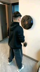 Papan Tinju Music Portable Bluetooth Alat Boxing Led Olahraga Tempel Dinding