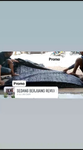 Jaring Paranet Impor 3x3: Kelebihan & Cara Penggunaan