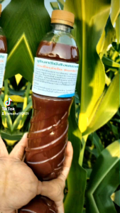 ตัวช่วยเกษตรกร🦠หัวเชื้อจุลินทรีย์ สังเคราะห์แสง เข้มข้น แท้100% เพิ่มธาตุรอง และ ธาตุเสริม🦠 ขนาด1.5 ลิตร