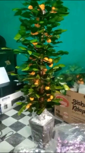 PAJANGAN RUMAH UNTUK DI SUDUT RUANGAN POHON JERUK ARTIFICIAL SUDAH SAMA POTNYA