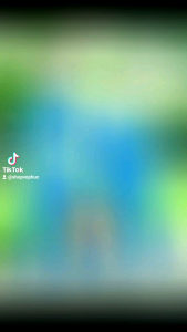 Võ Phục Vovinam Loại Tốt Kèm Theo Đai - Miễn Phí Vận Chuyển