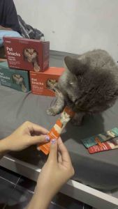 ขนมแมวเลีย[FAENBEI60ชิ้น1กล่อง]ขนาด 15 กรัม ราคาถูกรสเนื้อไก่ ปลาทูน่า รสปลาแซลมอน