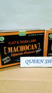 MACHOCAN KAPSUL OBAT HERBAL STAMINA