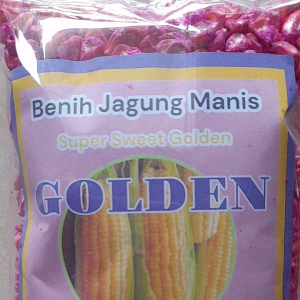 Benih bibit jagung manis Madu berkuwalitas GOLDEN 250 gram
