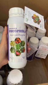 Phân Bón PHOSPHIKA nhập khẩu ( ITALY) Ý. Kích kháng cho cây trồng.