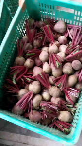 BUAH BIT/BEETROOT FRESH 1Kg