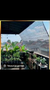 jaring paranet 90% ukuran 4x2 4x3 4x4 4x5 4x6 4x7 4x8 4x9 4x10