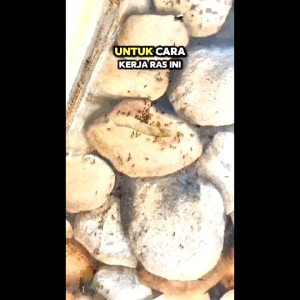 Obat Pembasmi Semut RAS 3pcs Racun Semut Super Ampuh