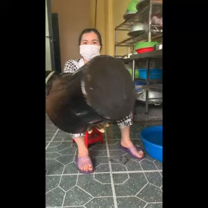 Siêu Tẩy Dầu Mỡ DR.C - Tẩy Dầu Mỡ Nồi Chảo Tẩy Bếp Gas Tẩy Lưới Hút Mùi...