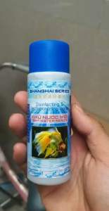 khử nước mới khử clo cho hồ cá cảnh Shanghai