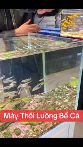 Máy Thổi Luồng Sobo WP-300M Cho Hồ Cá. Phụ Kiện Hồ Cá Máy Thổi Luồng