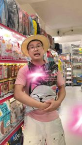 Hạt Healthy Cat thức ăn cho mèo túi 1kg cho mọi lứa tuổi