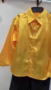 READY STOCK Kids Children Long Sleeve Shirt Choir Dance Stage Performance Costume Glittering Shirt Plain Colour Shinning Shirt
