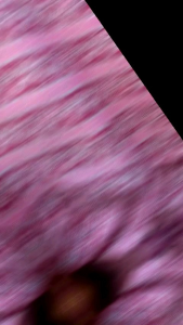 Batik Silk Meteran Lebar 1.15 Meter: Desain Tradisional & Bahan Berkualitas