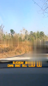 minuman legen asli buah siwalan tuban kemasan 1500mili 1