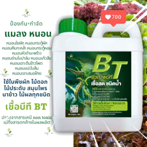 บีที BT ขนาด 1 ลิตร กำจัดเพลี้ย แมลง หนอน ไร้สารเคมี ชีวภาพ พืชผัก ผลไม้ ข้าวโพด แตงกวา นาข้าว สวนครัว ผักสลัด เคล กุหลาบ ไม้ดอก ทุเรียน