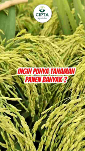 BOMA PUPUK CAIR PENGUSIR & PEMBASMI HAMA + ZPT