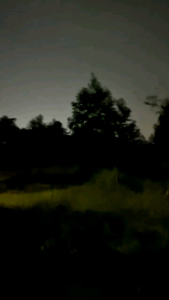 Camera NV101 Triton Camera Night Vision Terbaru Jernih 2 Alam