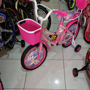 Sepeda Anak Roda Empat Cewek Perempuan Mini Velion 16 Inch