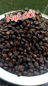 Hạt dổi nếp rừng gia vị đặc trưng vùng Tây Bắc 50g 25g 10g