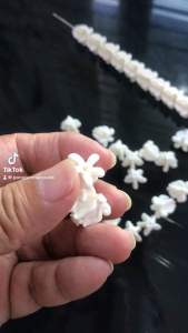 ดินทำดอกรักนิ่ม