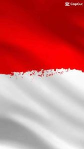 [[ New Arrival ]] Zumba Sahira Dito Sukma Mario Oscar Setelan Baju Agustusan Model Terbaru Oneset Merah Putih Setelan Kemerdekaan Model Terbaru Setcel Merah Putih