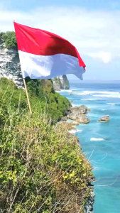 Kaos Merah Putih Kemerdekaan Indonesia Paddlekids Long Sleeve T-shirt Boys n Girls