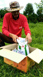 พีโคเดอร์มา ไตรโคเดอร์มาอัดเม็ด ตราฟ้าแจ่ม (ถุงละ 5 กิโลกรัม จำนวน 5ถุง) ใช้ป้องกัน รักษาเชื้อราโรคพืชทางดิน