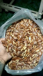 กระบกตากแห้ง