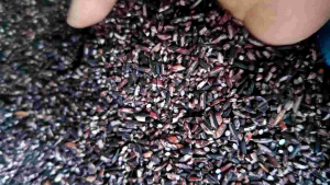 Purple Malagkit ( 1 kg)