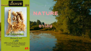 โสมชงเอี๊ยะแซ